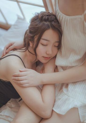 警花与警犬电视剧免费观看