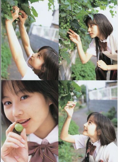 烈火军校电视剧免费观看