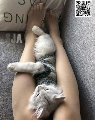 剑来动漫第一季免费高清在线观看
