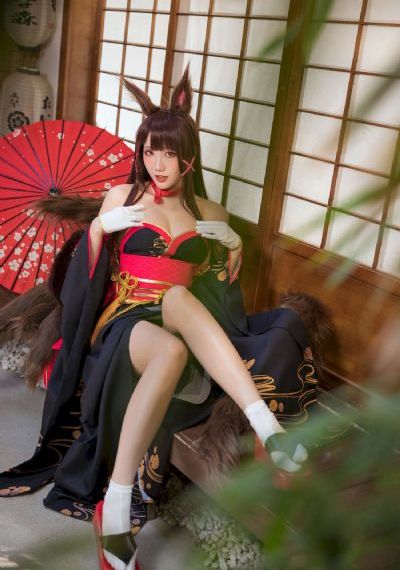 猫咪影院