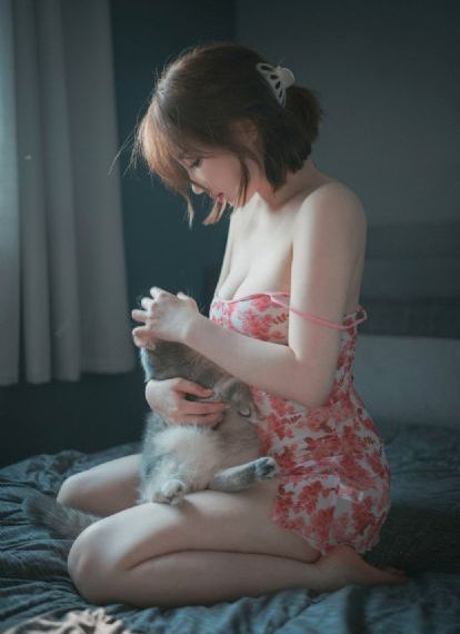 2012手机免费观看版国语