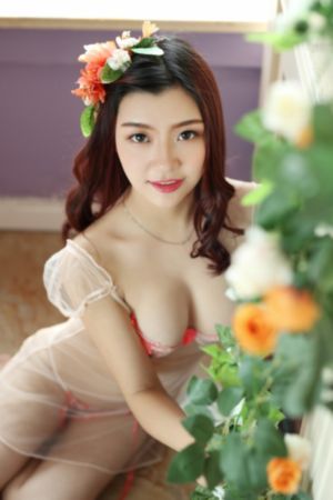 高清全集视频免费在线