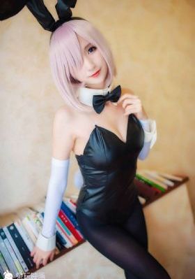 深圳合租记全集免费完整版