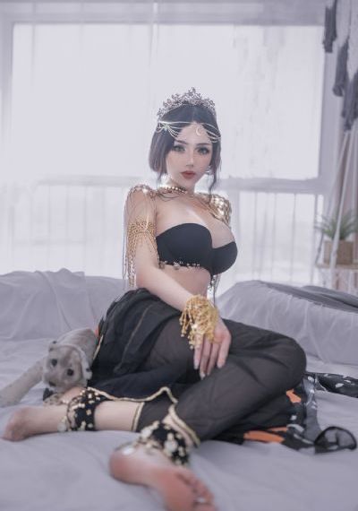 后宫露营樱花