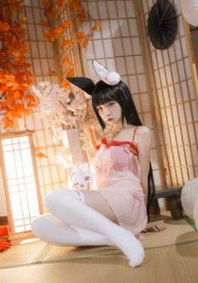 美美哒电视剧免费观看完整版