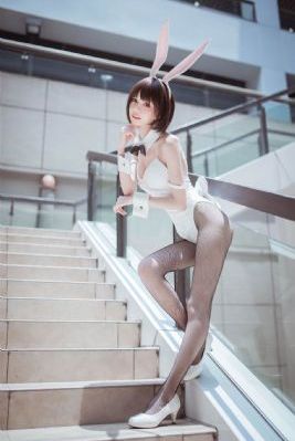 声生不息·宝岛季 综艺