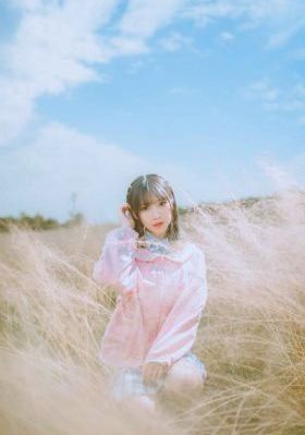 房子传