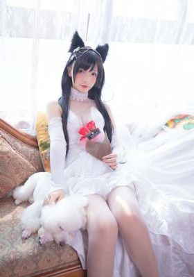 爱情理论 电视剧